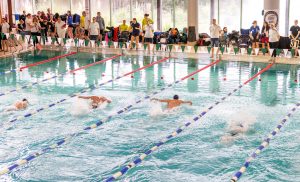 DMS-LL am 17.01.2025 in Hildesheim - beim Delphin-Schwimmen - Übersicht