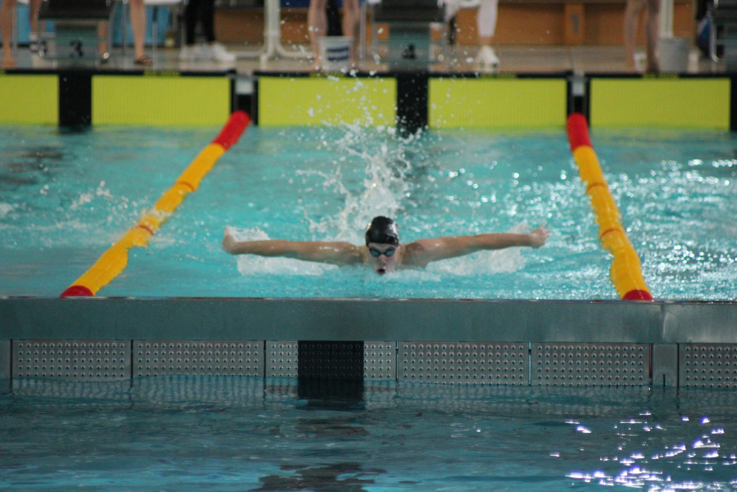 Auf Erfolgsspur bei den Landesmeisterschaften