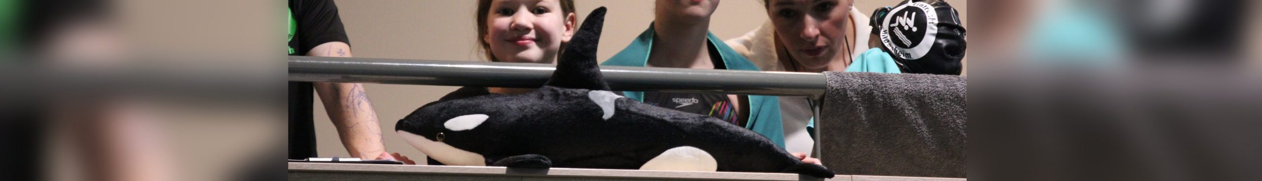 Starker Jahresabschluss unseres Nachwuchses